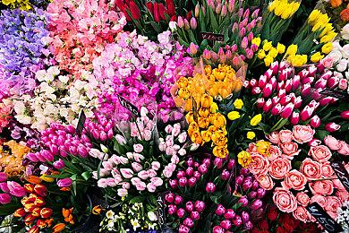 美国销量8月榜：《装甲核心6》首发排名第二位